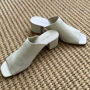 Everlane the Glove Mule in Reknit